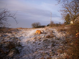 2009-12-17/DSCI5270.JPG