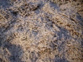 2009-12-17/DSCI5272.JPG