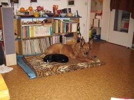 2009-12-17/DSCI5278.JPG
