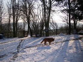 2009-12-21/DSCI5280.JPG