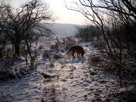 2009-12-21/DSCI5282.JPG
