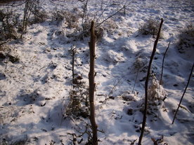 2009-12-21/DSCI5283.JPG