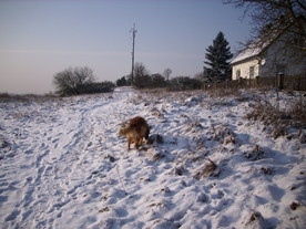 2009-12-21/DSCI5287.JPG