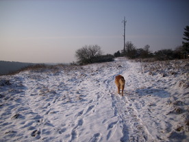 2009-12-21/DSCI5288.JPG