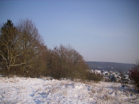 2009-12-21/DSCI5290.JPG