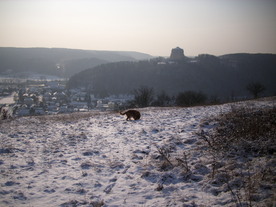 2009-12-21/DSCI5292.JPG