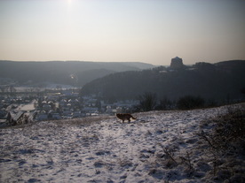 2009-12-21/DSCI5298.JPG