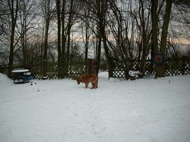 2009-12-21/DSCI5299.JPG