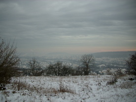 2009-12-21/DSCI5305.JPG