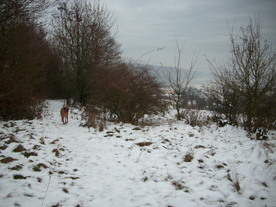2009-12-21/DSCI5309.JPG