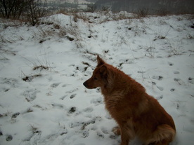 2009-12-21/DSCI5310.JPG