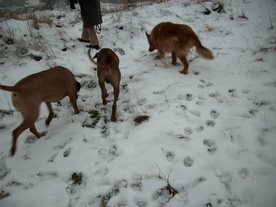 2009-12-21/DSCI5312.JPG