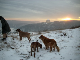 2009-12-21/DSCI5314.JPG