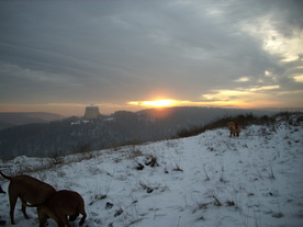 2009-12-21/DSCI5316.JPG