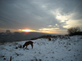 2009-12-21/DSCI5317.JPG