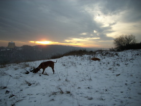 2009-12-21/DSCI5318.JPG