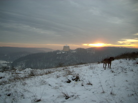 2009-12-21/DSCI5319.JPG