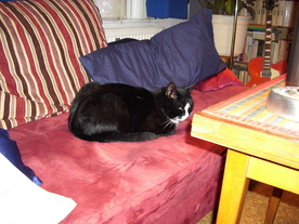 2010-01-06/DSCI5338.JPG