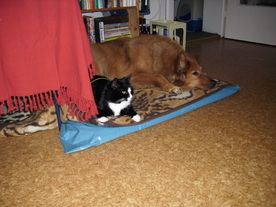 2010-01-06/DSCI5356.JPG