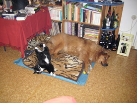 2010-01-06/DSCI5358.JPG