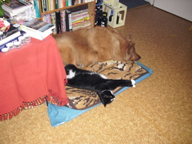 2010-01-06/DSCI5359.JPG