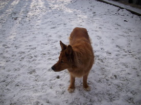 2010-01-13/DSCI5359.JPG