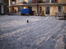 2010-01-13/DSCI5362.JPG