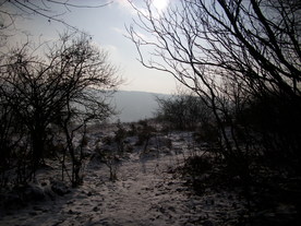 2010-01-13/DSCI5363.JPG