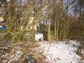 2010-01-13/DSCI5364.JPG