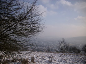 2010-01-13/DSCI5365.JPG