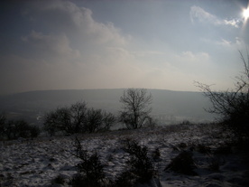 2010-01-13/DSCI5366.JPG