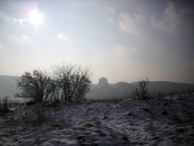 2010-01-13/DSCI5369.JPG
