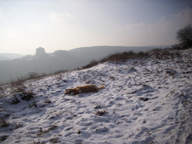 2010-01-13/DSCI5370.JPG