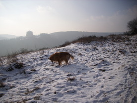 2010-01-13/DSCI5371.JPG
