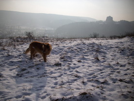 2010-01-13/DSCI5373.JPG