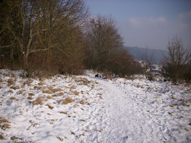 2010-01-13/DSCI5378.JPG