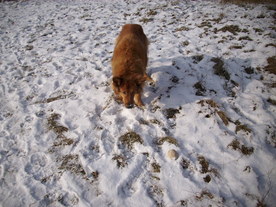 2010-01-13/DSCI5379.JPG