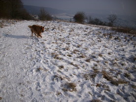 2010-01-13/DSCI5380.JPG