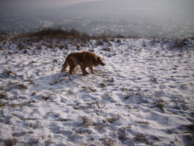 2010-01-13/DSCI5385.JPG