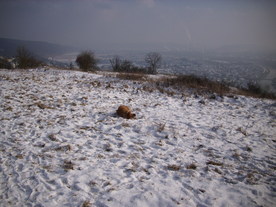 2010-01-13/DSCI5388.JPG