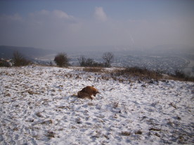 2010-01-13/DSCI5390.JPG
