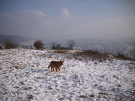 2010-01-13/DSCI5391.JPG
