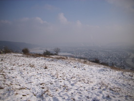 2010-01-13/DSCI5393.JPG