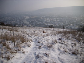 2010-01-13/DSCI5395.JPG