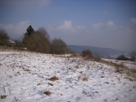 2010-01-13/DSCI5396.JPG