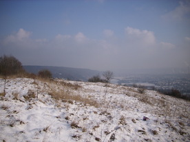 2010-01-13/DSCI5397.JPG