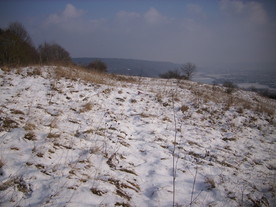 2010-01-13/DSCI5398.JPG
