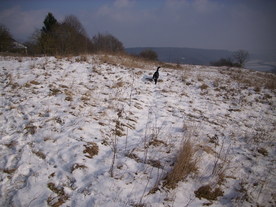 2010-01-13/DSCI5399.JPG