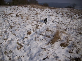 2010-01-13/DSCI5400.JPG