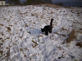2010-01-13/DSCI5401.JPG